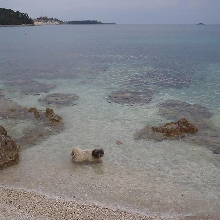 Apartments Mirta Rovinj Buitenkant foto